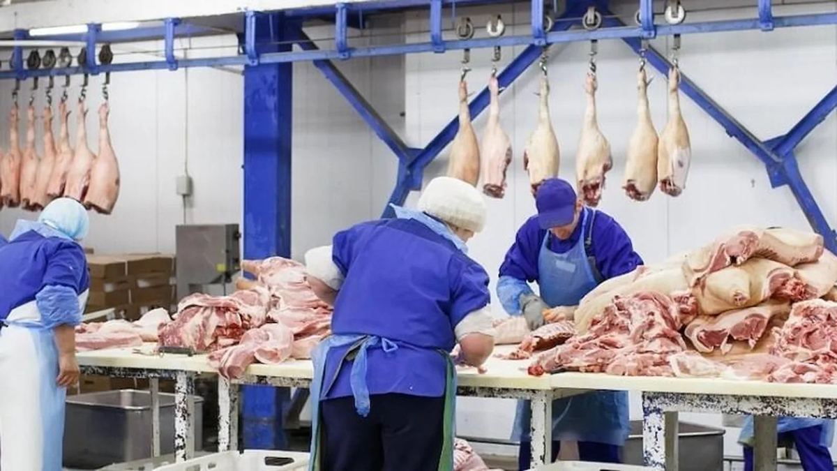 Защита полов и конструкций на мясокомбинате (бойне) WIRON